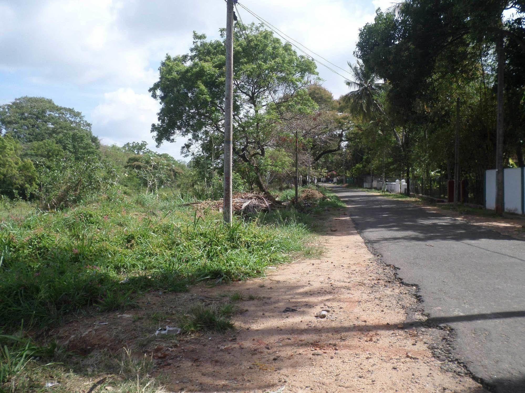 Thilaka City Hotel Anuradhapura Exterior photo